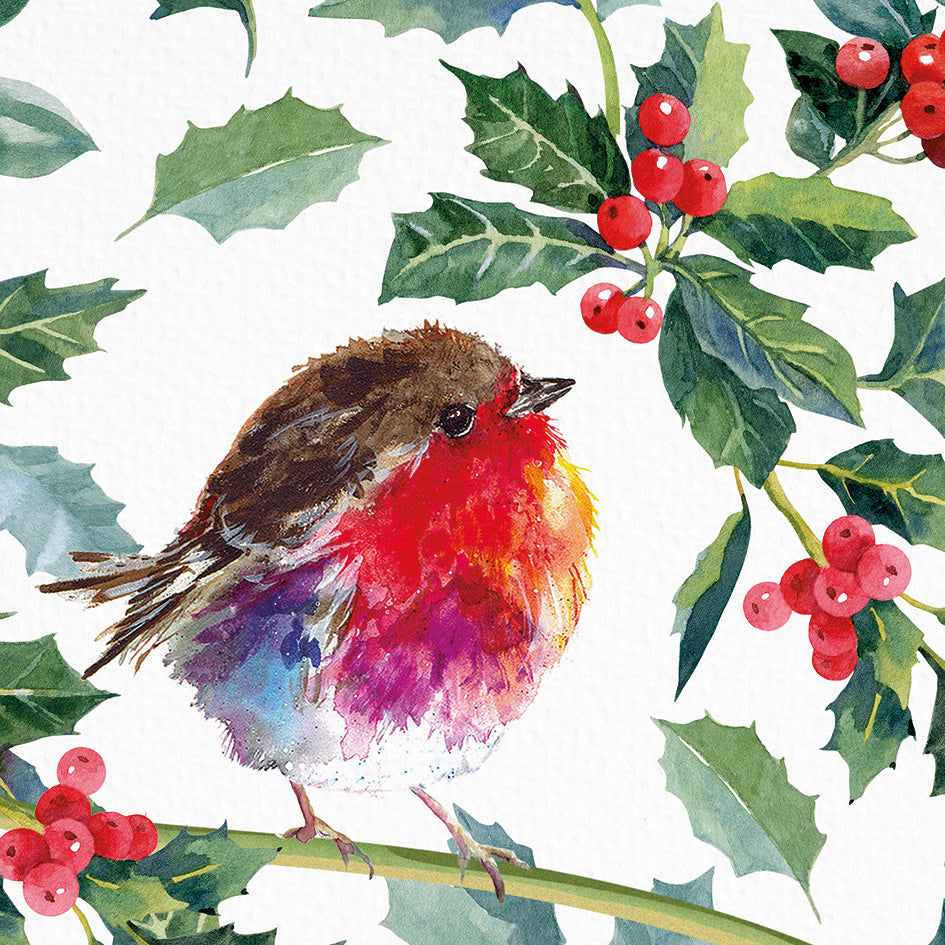 Holly Robin DEBRA Charity Christmas Cards (Pack of 10)