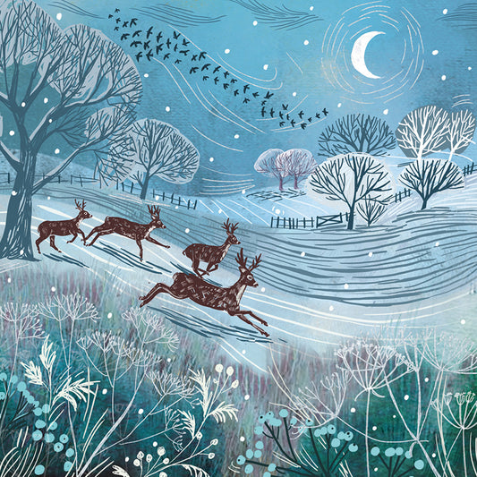 Across the Field DEBRA Charity Christmas Cards (Pack of 10)