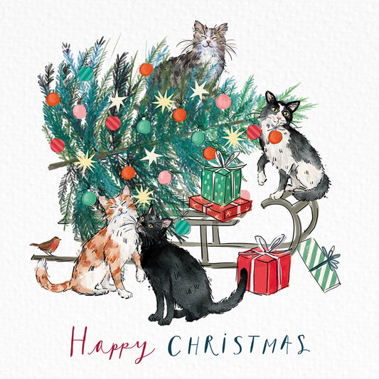 New Delivery DEBRA Charity Christmas Cards (Pack of 10)