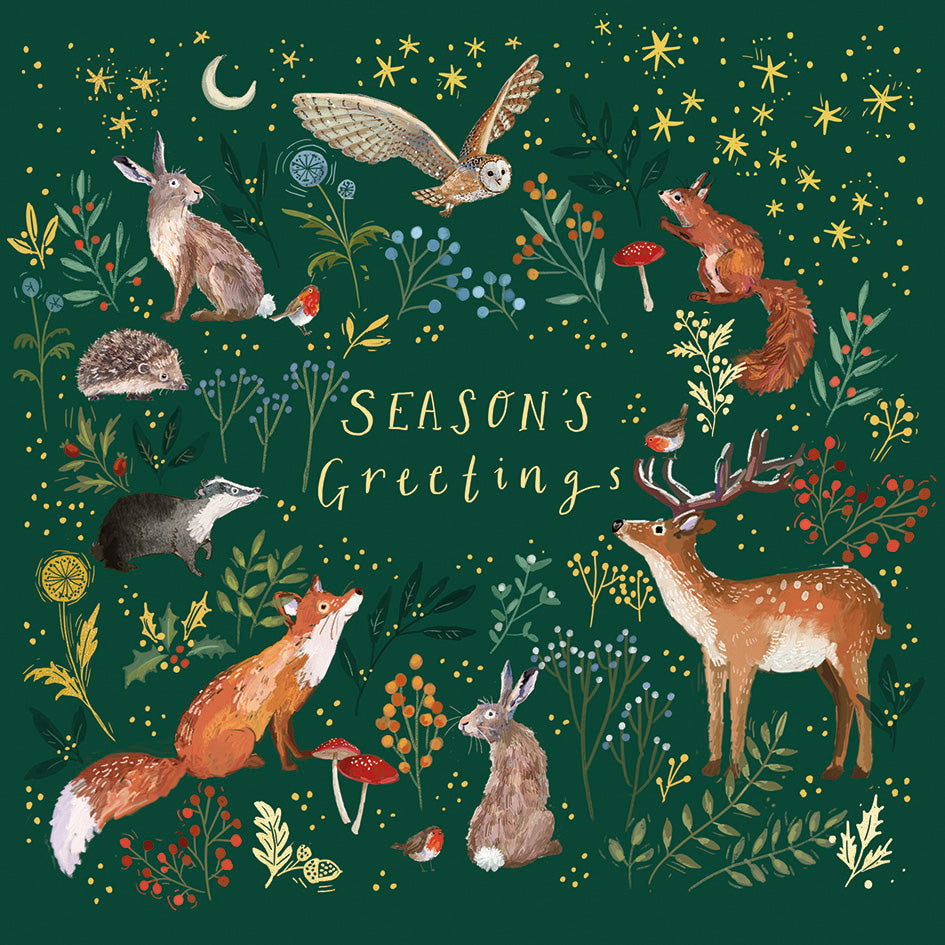 Enchanted Christmas DEBRA Charity Christmas Cards (Pack of 10)