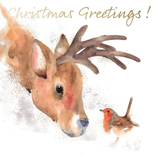 Reindeer & Robin Christmas Cards (Pack of 10)