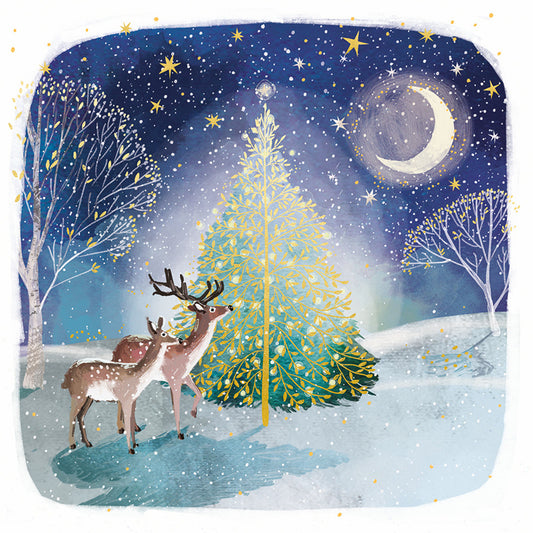 Moonlit Tree DEBRA Charity Christmas Cards (Pack of 10)