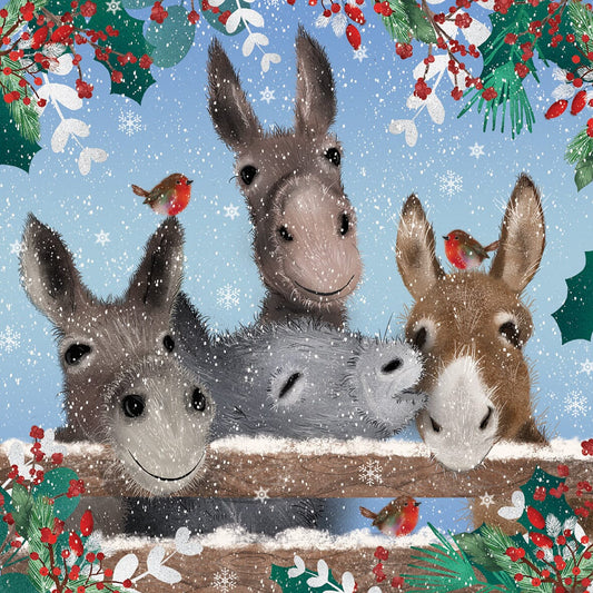 Festive Donkeys DEBRA Charity Christmas Cards (Pack of 10) - DEBRA Online