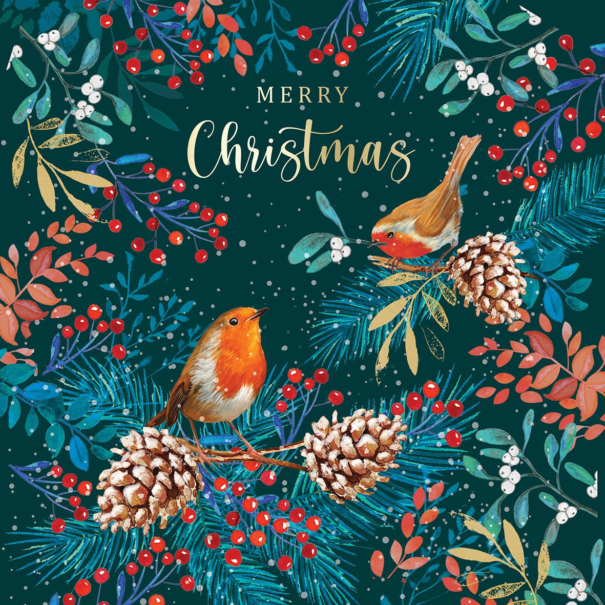 'Robins and Pinecones' DEBRA Charity Christmas Cards (Pack of 10) - DEBRA Online